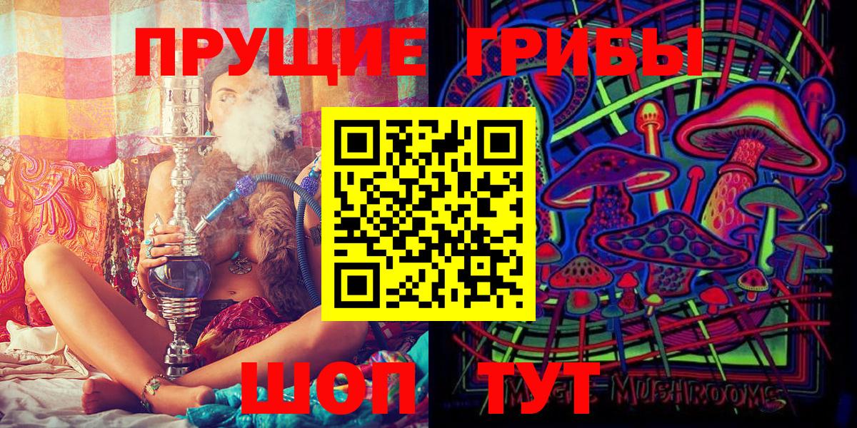 Псилоцибиновые грибы GOLDEN TEACHER Кузнецк