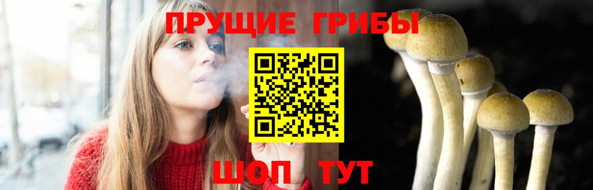 Галлюциногенные грибы Cubensis  Вход с VPN  Галлюциногенные грибы GOLDEN TEACHER  Кузнецк 