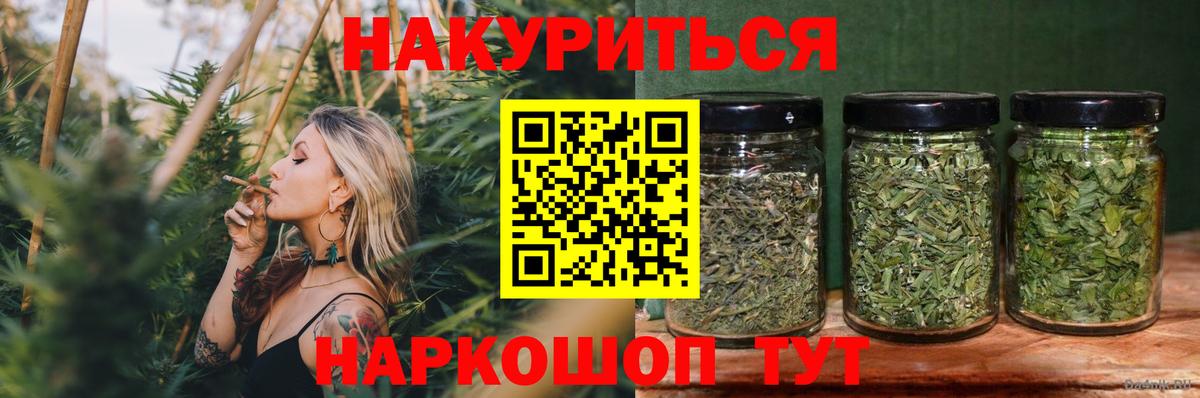 Бошки марихуана сатива Кузнецк